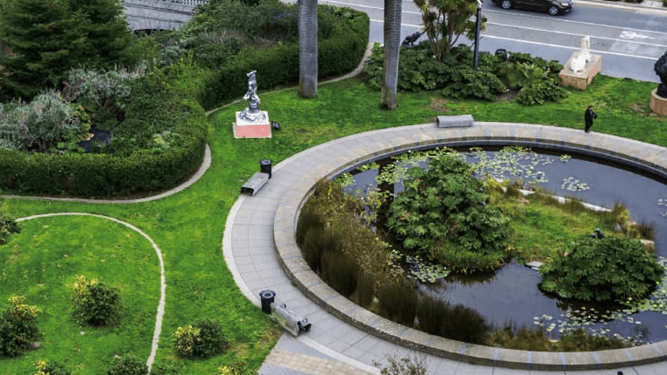 Bosbouw en Vegetatieanalyse